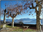 foto Lago di Como